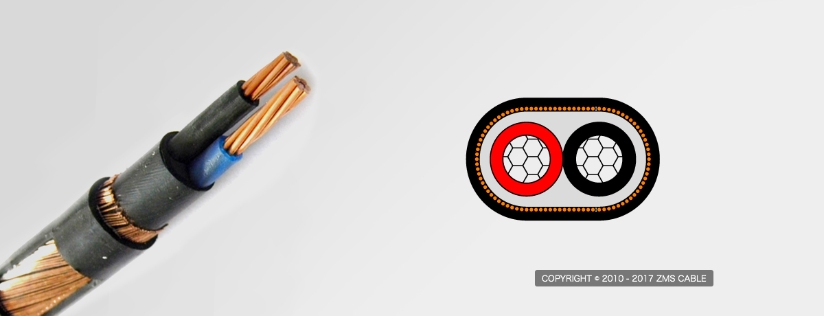 Concentric Cable