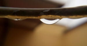 Water-in-the-cable
